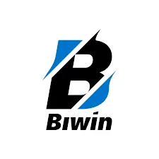 BIWIN - Pertarungan Penuh Aksi yang Mendebarkan